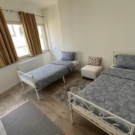 Andi * غيرولشتاين